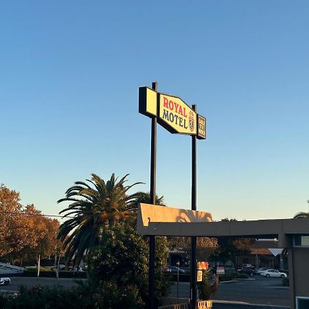 Royal Motel 트레이시 외부 사진